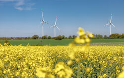 Trochtelfinger haben ein Bürgerbegehren gegen den Bau von Windrädern auf Stadtgebiet eingereicht. Der Gemeinderat hat es als unz