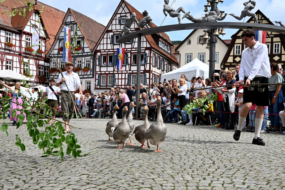 schaeferlauf_25_pieth_24