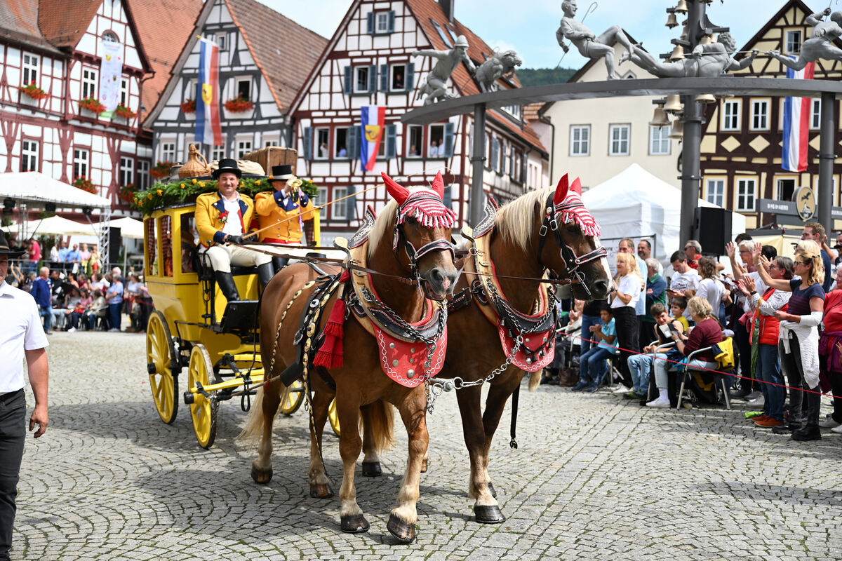 schaeferlauf_25_pieth_25