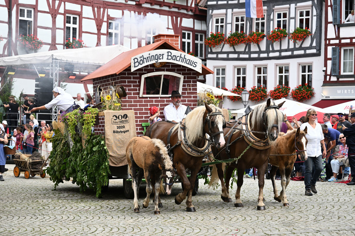 schaeferlauf_25_pieth_31