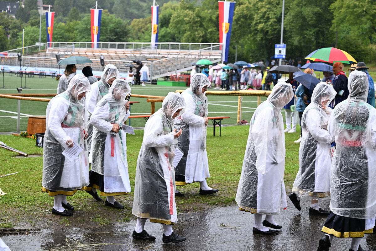 schaeferlauf_25_pieth_50