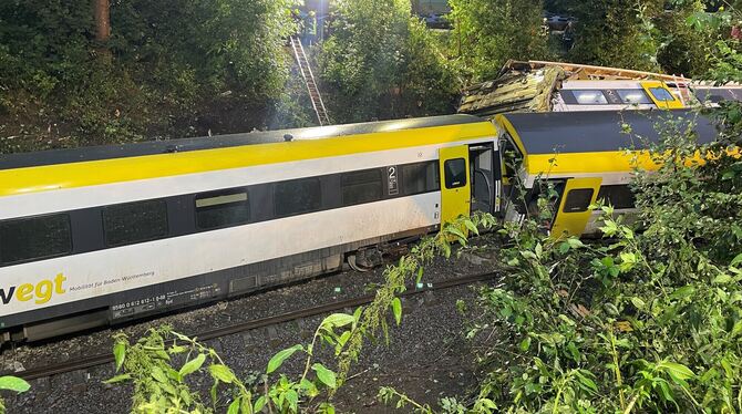 Ein Bild des Grauens: Der verunglückte Zug am Sonntagabend.
