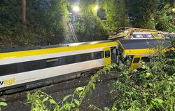 Ein Bild des Grauens: Der verunglückte Zug am Sonntagabend. 