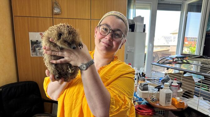 Melanie Bauer mit einem Igel in der Igelstation in Riederich. FOTO: ECKELT Melanie Bauer mit einem Igel in der Igelstation in Riederich. FOTO: ECKELT