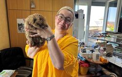Melanie Bauer mit einem Igel in der Igelstation in Riederich.  FOTO: ECKELT 