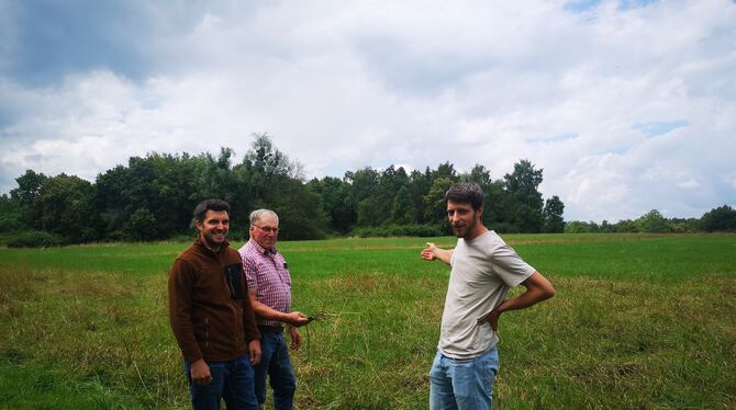 Sommermedientermin Markwasen Die Landwirte Julian Werner und Andreas Fuhr erzählen gemeinsam David Horle, dem städtischen Projektleiter vom Amt für Tiefbau,