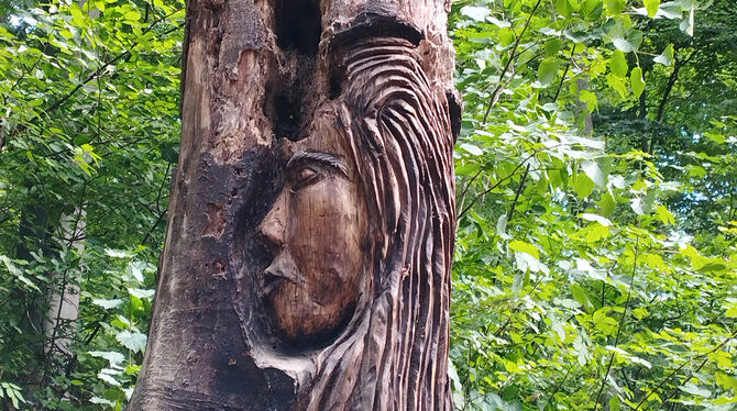 Urschel auf Pfullinger Sagenweg Die Urschel, zentrale Figur der Pfullinger Sagenwelt, wurde als Holzfigur von Billy Tröge in einen Baumstumpf geschnitzt.