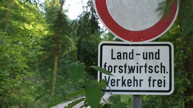 Der Gemeindewald bringt Gomadingen rund 220.000 Euro Überschuss aus dem Jahr 2024 ein.  FOTO: LENK