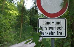 Der Gemeindewald bringt Gomadingen rund 220.000 Euro Überschuss aus dem Jahr 2024 ein.  FOTO: LENK