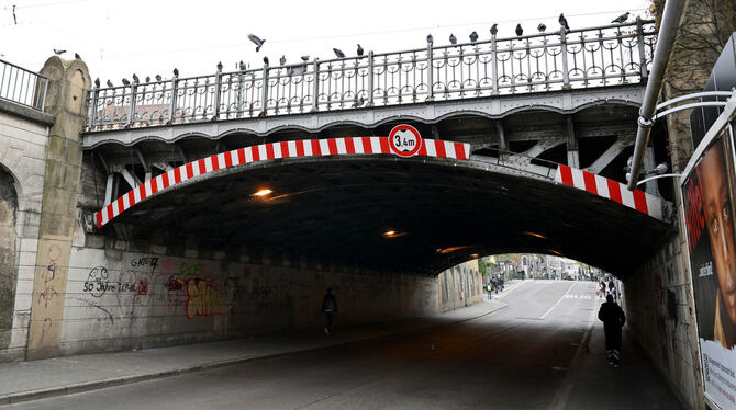 Schauplatz der Taubenvergrämung war die Eisenbahnbrücke Unter den Linden.