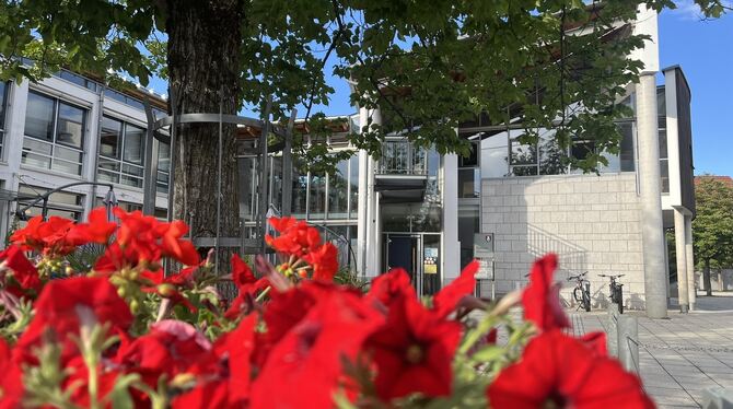 Die Zahlen des ersten Halbjahrs legte Kämmerin Lea Pflumm mit einem Finanzzwischenbericht dem Gemeinderat in Wannweil vor.