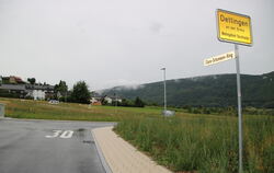 Die Vorstellung über den Verkauf von gemeindeeigenen Grundstücken im Baugebiet Vor Buchhalden gingen bei Verwaltung und Gemeinde