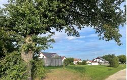 In Walddorfhäslach gibt es einige Brachflächen, wie hier am Häslacher Weg. Wenn die Grundsteuer C eingeführt würde, müssten die 