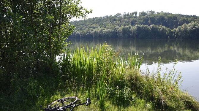 Der Badespaß im Kirchentellinsfurter Baggersee ist ungetrübt: Das Gesundheitsamt hat dem See das beste Qualitätssiegel attestier