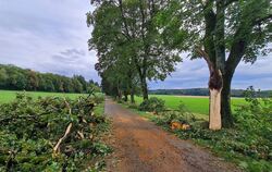 Beim Unwetter, das am 24. August 2023 durch den Landkreis Reutlingen fegte, hatten auch die alten Alleebäume beim Gestütshof St.
