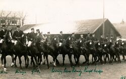 100 Jahre Hengstparade