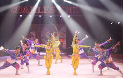 Die Dezhou Acrobatic Troupe aus China verzauberte das Tübinger Publikum.