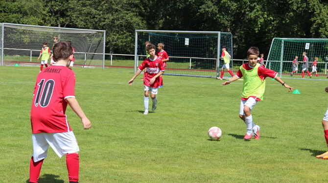 ALB SOMMERKICK Die Gammertinger Kids sind voll bei der Sache.