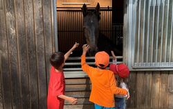 Die Reittherapie des Pfullinger Vereins Sonnenstrahlen hat Marias Kindern sehr geholfen. 