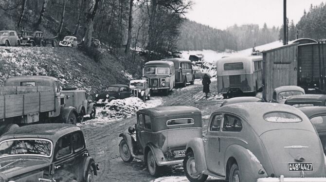 In den 1950ern bekamen die Pferde Konkurrenz von PS unter der Haube. Zu den Hengstschauen kamen nun auch viele Gäste in Omnibuss In den 1950ern bekamen die Pferde Konkurrenz von PS unter der Haube. Zu den Hengstschauen kamen nun auch viele Gäste in Omnibuss