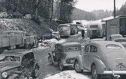 In den 1950ern bekamen die Pferde Konkurrenz von PS unter der Haube. Zu den Hengstschauen kamen nun auch viele Gäste in Omnibuss