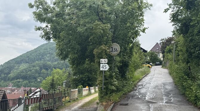 Am Hochberg Sanierung Die beiden Straßenabschnitte der Straße »Am Hochberg« sind sanierungsbedürftig - der untere, nicht asphaltierte Weg bricht weg.