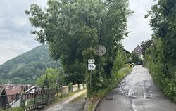 Die beiden Straßenabschnitte der Straße "Am Hochberg" sind sanierungsbedürftig - der untere, nicht asphaltierte Weg bricht weg.