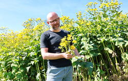 Ein Mann und die "Durchwachsene Silphie": Der Pflanze widmet der neue Leiter der Lindenhöfe unter anderem seine Aufmerksamkeit, 