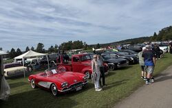 Viel geboten war bei „Wings & Wheels" auf dem Hayinger Segelflugplatz.
