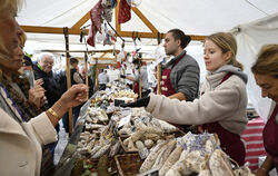 Wurst so weit die Linse reicht: Viele altbekannte Stände sind auch wieder in diesem Jahr in der Tübinger Altstadt verteilt.