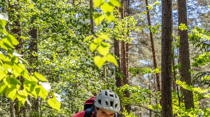 Solche Trails gibt's auch in und um Bad Urach massenweise. Nach dem baden-württembergischen Waldgesetz dürfen Mountainbiker hier