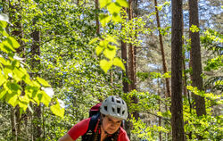 Solche Trails gibt's auch in und um Bad Urach massenweise. Nach dem baden-württembergischen Waldgesetz dürfen Mountainbiker hier