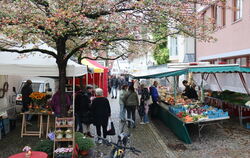 Der Eninger Wochenmarkt wird gut angenommen: Selbst an regnerischen Tagen bleibt die Kundschaft nicht aus.