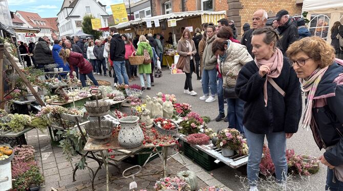 Markt Blumen und Herbstdekorationen waren gefragt beim Münsinger Biosphärenmarkt.