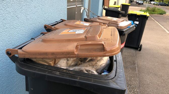 Biomüll; Reutlingen; Anti-Plastik-Kampagne Eine Plastiktüte in der Biomüll-Tonne: Das Reutlinger Entsorgungsunternehmen TBR möchte solche Fehlwürfe den Bürgern nach und na