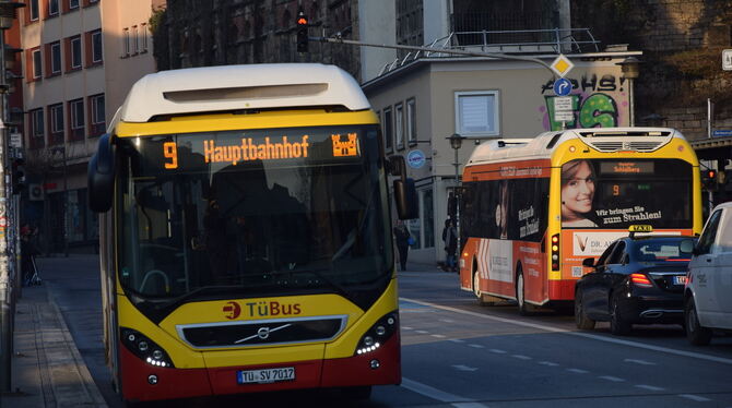 Bus Bü-Bus Symbole Leseschwäche In etwas mehr als 1.200 Fällen wurden Passagiere in Tübingen voriges Jahr ohne Fahrschein erwischt.