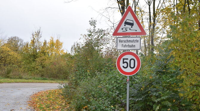 Temposchild In Richtung Schinderklinge gilt bereits Tempo 50.  In diesem Bereich sind auch viele Radfahrer unterwegs.