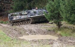 Der Bergepanzer im Gewann Kalksbuch, nicht weit entfernt sind die ehemaligen Schießbahnen 12 und 13.  FOTOS: LENK