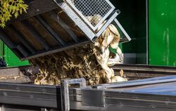 Vogelgrippe - Neuhardenberg