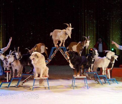 468285599_1102715981855024_8370670193059492667_n