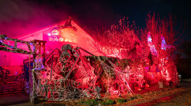 Halloween-Haus Degerschlacht Die Nebelmaschine läuft und sorgt für mystische Stimmung am Halloween-Haus in Degerschlacht.