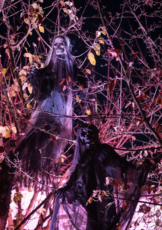 Halloweenhaus_30_10_2025_Schanz_011