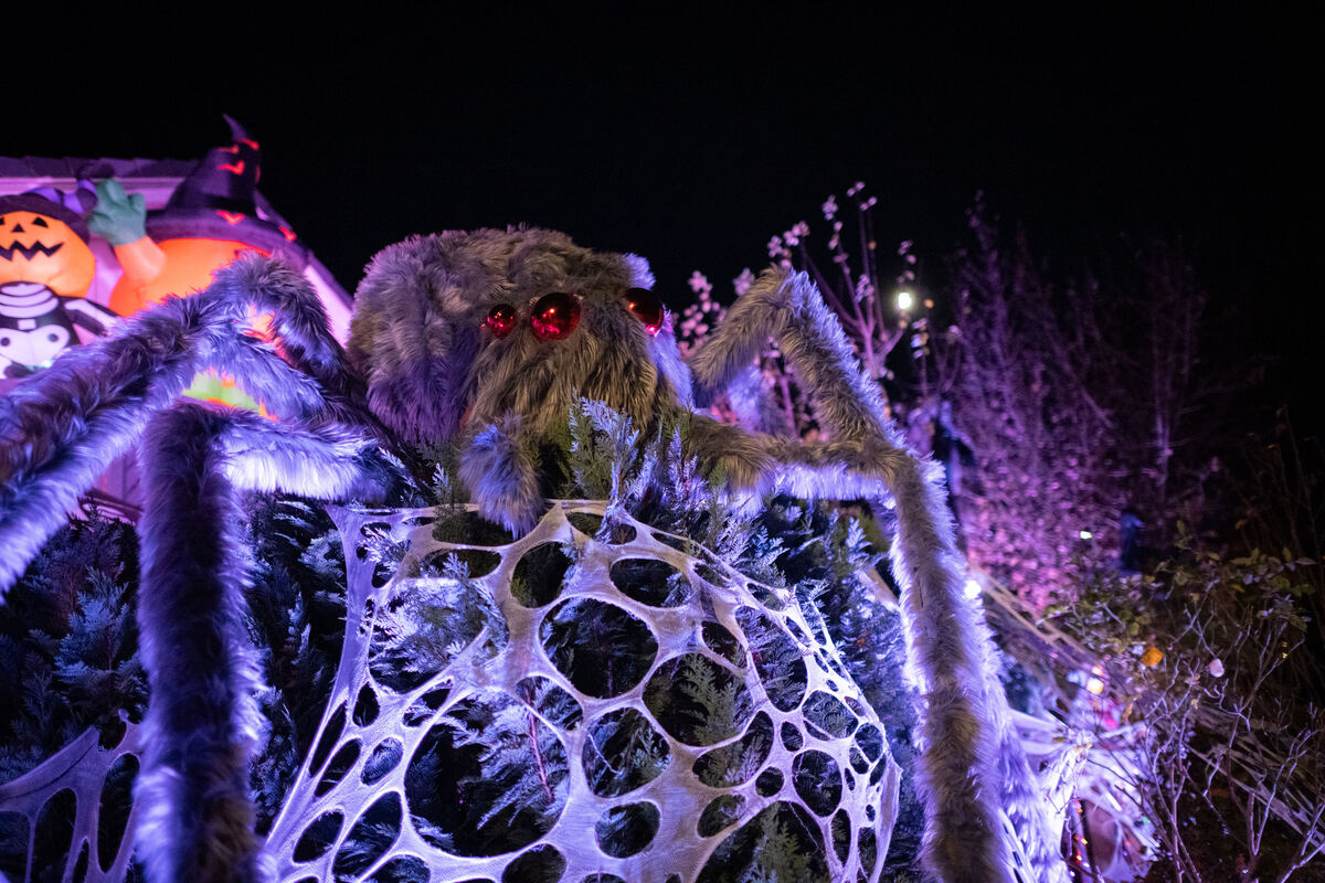 Halloweenhaus_30_10_2025_Schanz_013