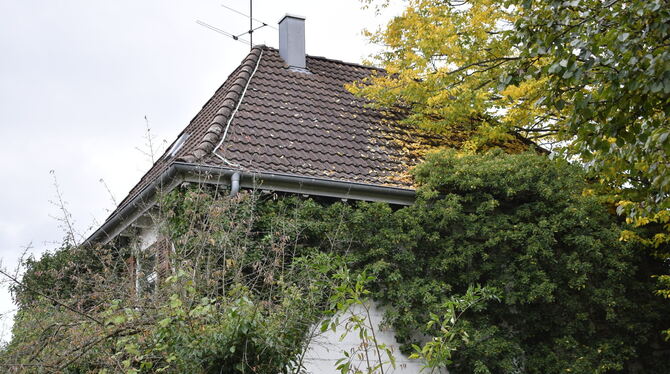 Waschbären-Hotel, Reutlingen, Lost Place Das seit vielen Jahren leerstehende Haus im Reutlinger Wohngebiet wächst langsam zu. Efeu hat Besitz von allen Seiten genommen.