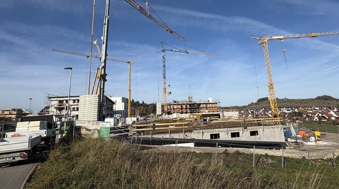 Bauverfahren Der Münsinger Bebauungsplan »Finkenstraße« muss nachgearbeitet werden.