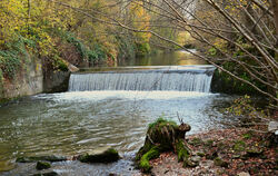Unüberwindbares Hindernis für die Gewässer-Bewohner: Die alte Wehrmauer auf Höhe der Betzinger Kläranlage wird abgebrochen, um d