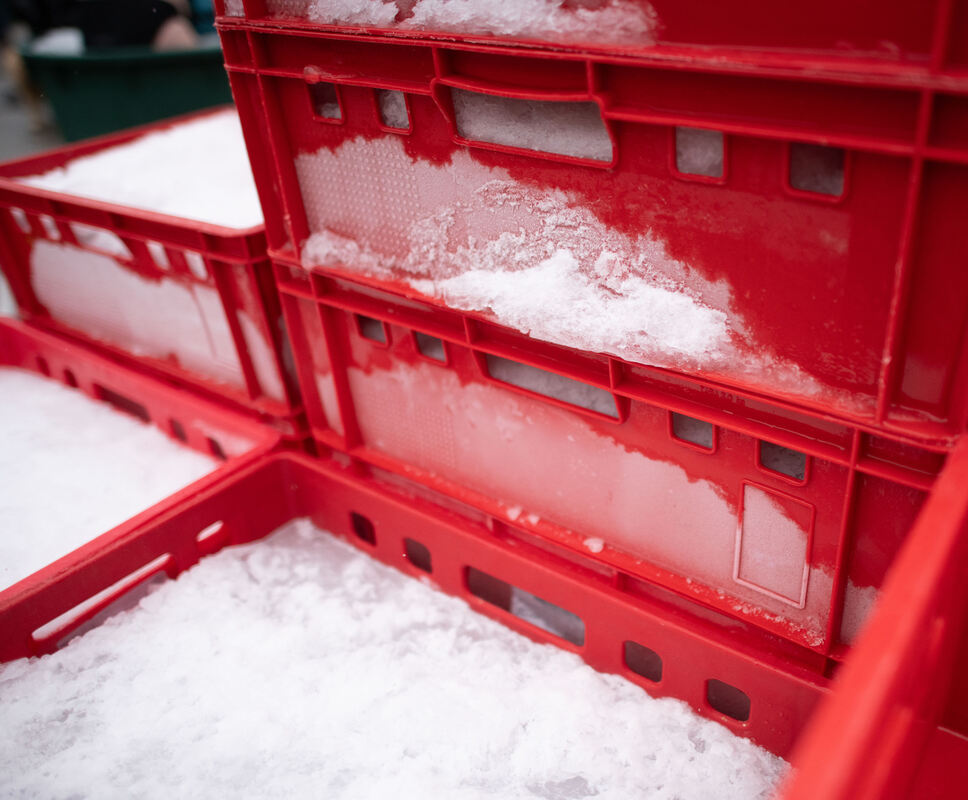 Eisbaden_09_11_2025_Schanz_006