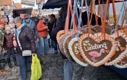 Sonne, gute Laune, zehn Grad: Der Martinimarkt in Trochtelfingen ist wieder Besuchermagnet.