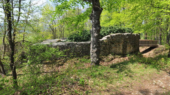 Die Burg Oberer Greifenstein erhob sich in exponierter Lage auf einem von der Hochfläche hervorspringenden Felsen gegenüber der