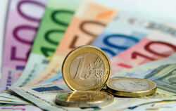 Jeden Euro  muss der Pfullinger Gemeinderat mit Blick auf den Doppelhaushalt 2026/27 zwar nicht umdrehen. Bei den Haushaltsanträ